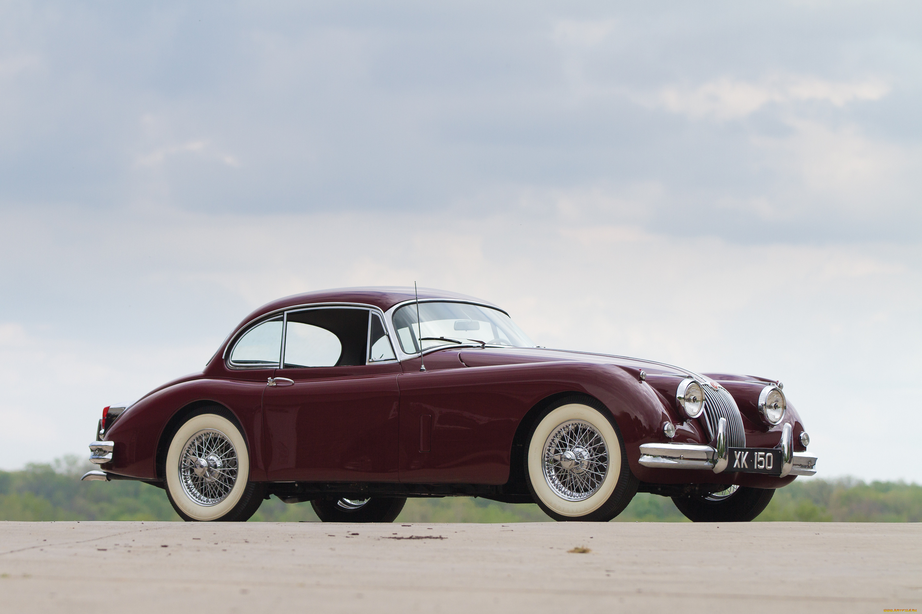 , jaguar